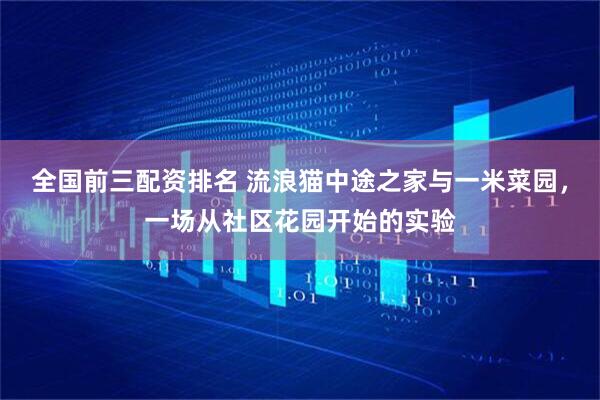 全国前三配资排名 流浪猫中途之家与一米菜园，一场从社区花园开始的实验