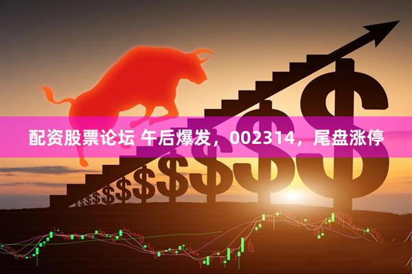 配资股票论坛 午后爆发，002314，尾盘涨停