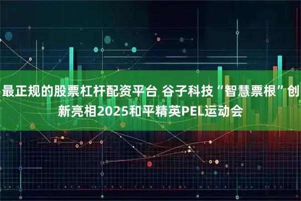 最正规的股票杠杆配资平台 谷子科技“智慧票根”创新亮相2025和平精英PEL运动会